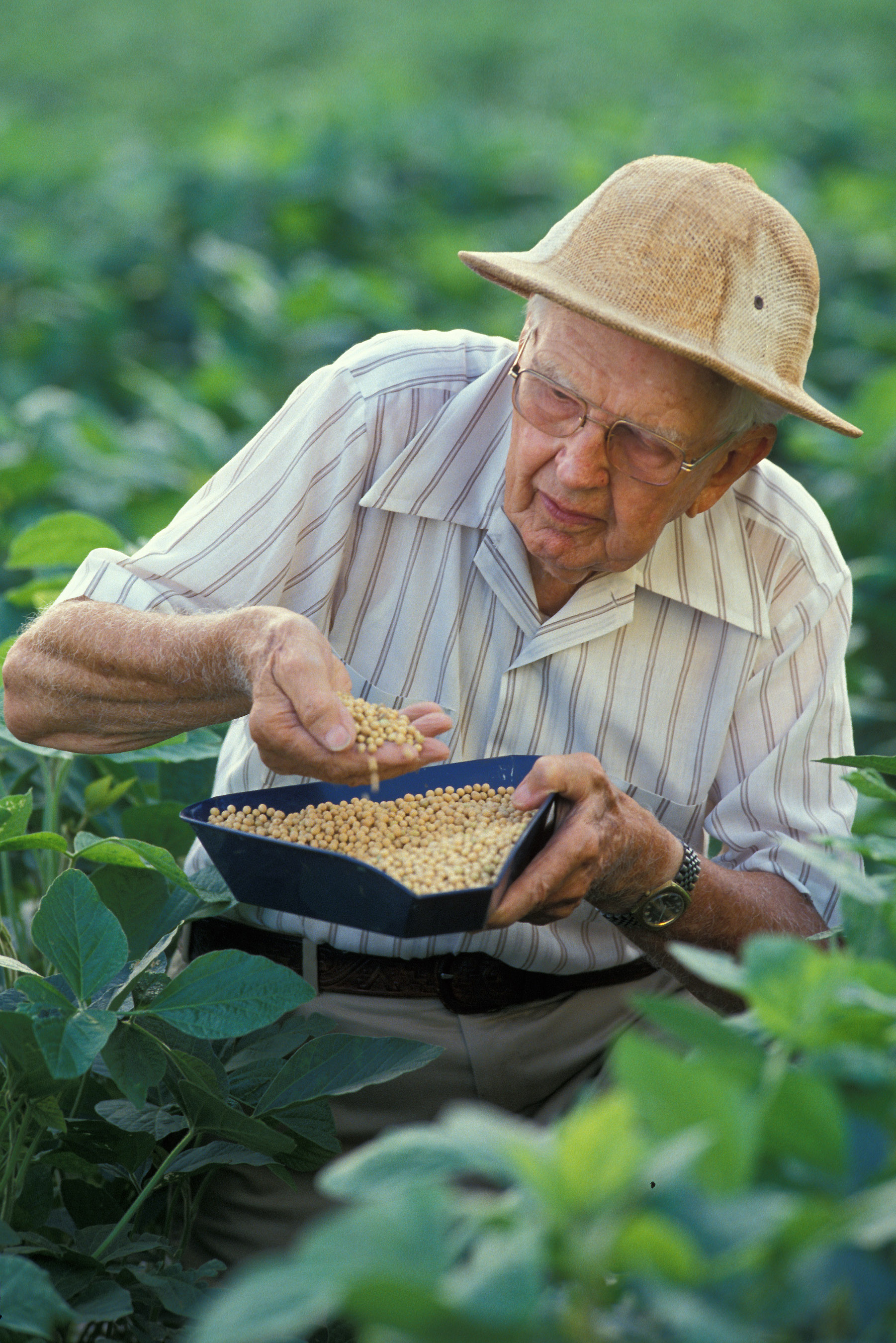 Dr. Hartwig in Soybean Field